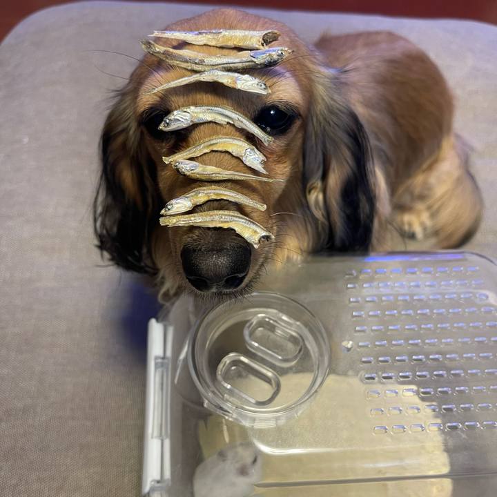 Be3a49c6 b9f0 4540 985b 4d47f30666f0 1732789901907