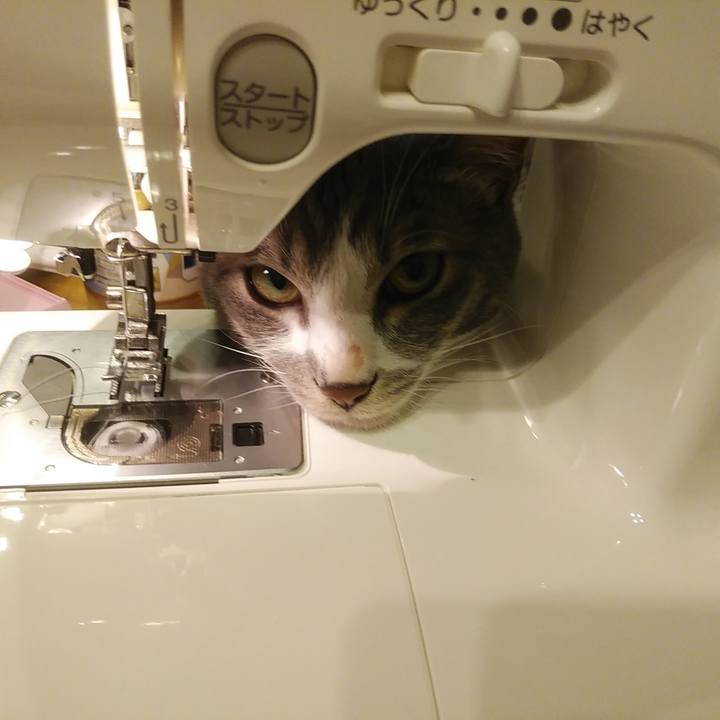 Be3a6f21 464d 4802 bedc 6231a85dd1ec 1591093446113