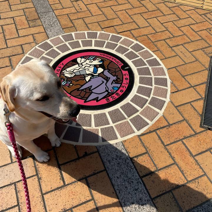 Be3a9a1b 87ca 4bbf 8bd9 e169f3f6e643 1634202625647