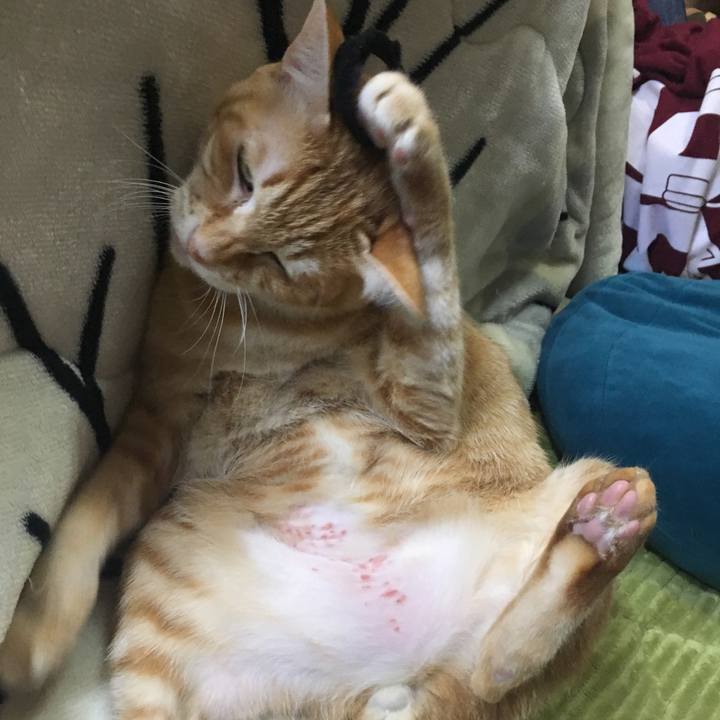 Be3acc2c 5fe6 4f95 a5a7 baf620c700c9 1546091266092