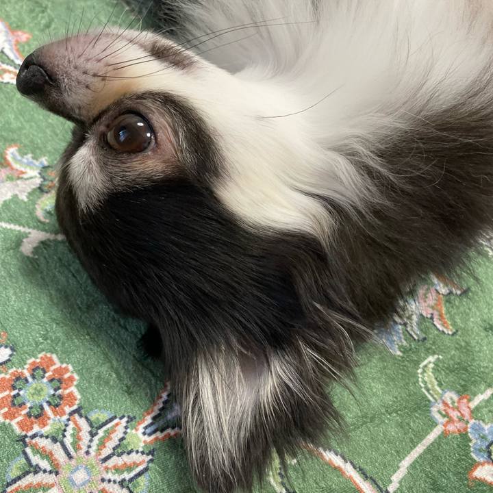 Be3b0492 11cd 47e4 939e 8d401012e0fc 1663942799140