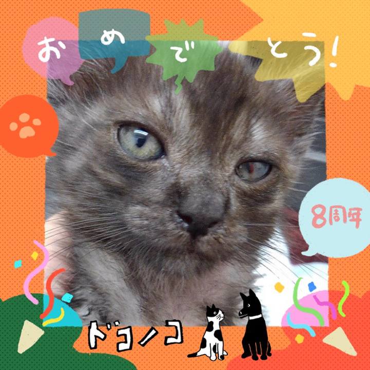 Be3b0a18 37a8 4a66 b317 a58786401bd5 1717819939181