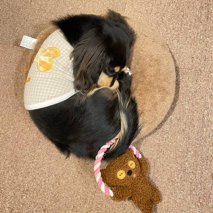 Be3b2157 bd19 4c11 9787 9ad1a33d05d6 1709030665100