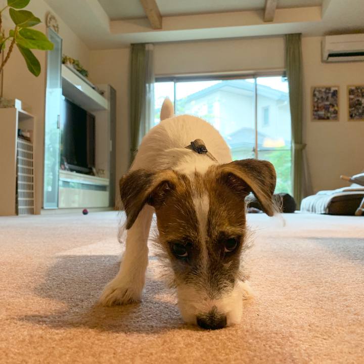 Be3b5fa3 6cb4 4045 b2ce cf8dd38bf056 1561883548603