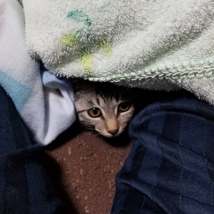 Be3b6ef5 69e8 4d3d b5e7 bafc3b767985 1666876031030