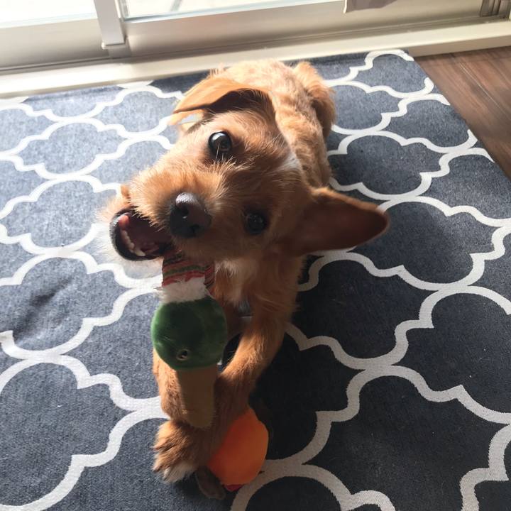 Be3b8136 2e56 4853 a832 f63d1d30ccf0 1554162595542