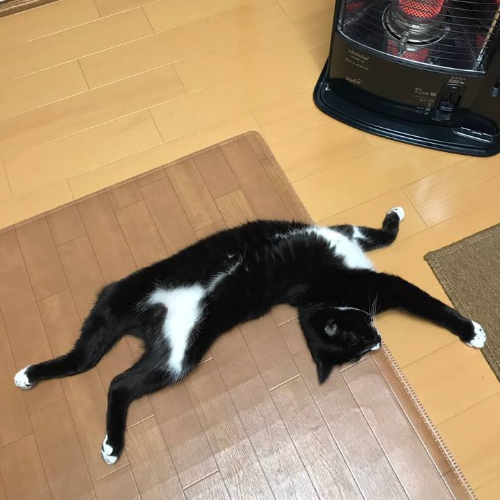 Be3b8ce0 f1b1 4f4e a7b4 a10614c22b30 1513223139916