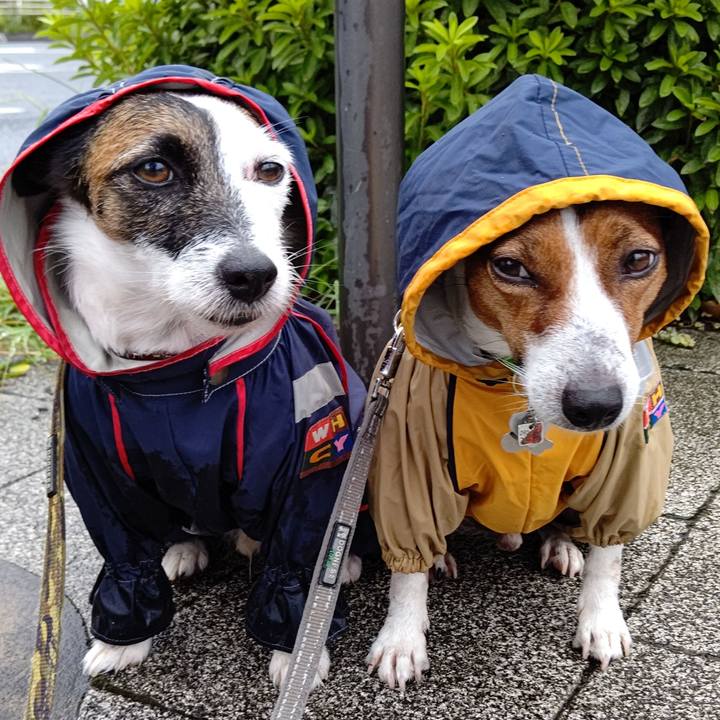 Be3bbd6d 55da 48b2 bb2d 2ee16271a576 1628895032498