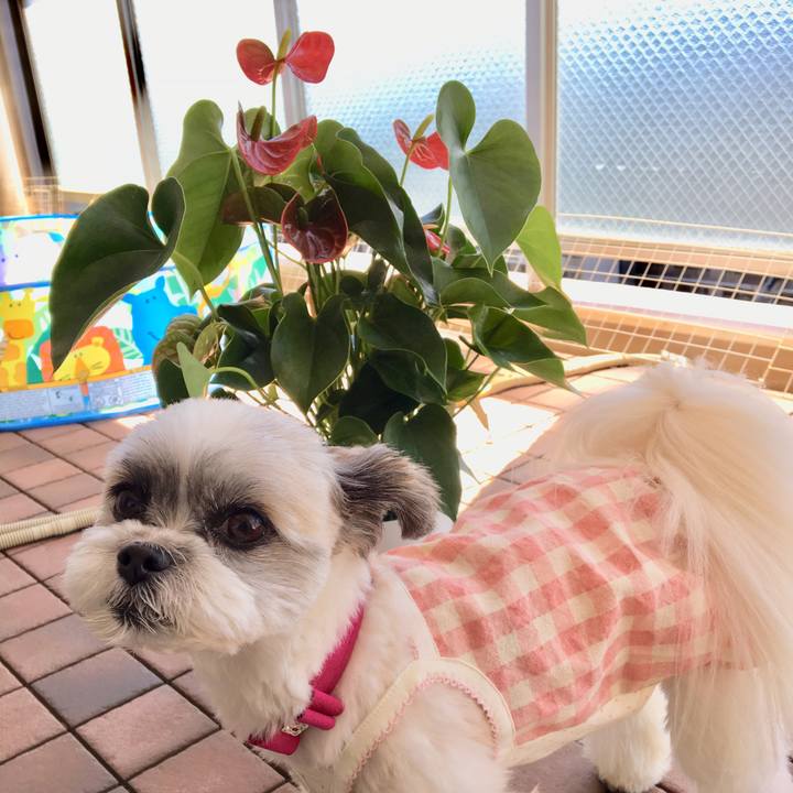 Be3bdaff c3ed 47d0 9267 3ba885fb8624 1534724188654