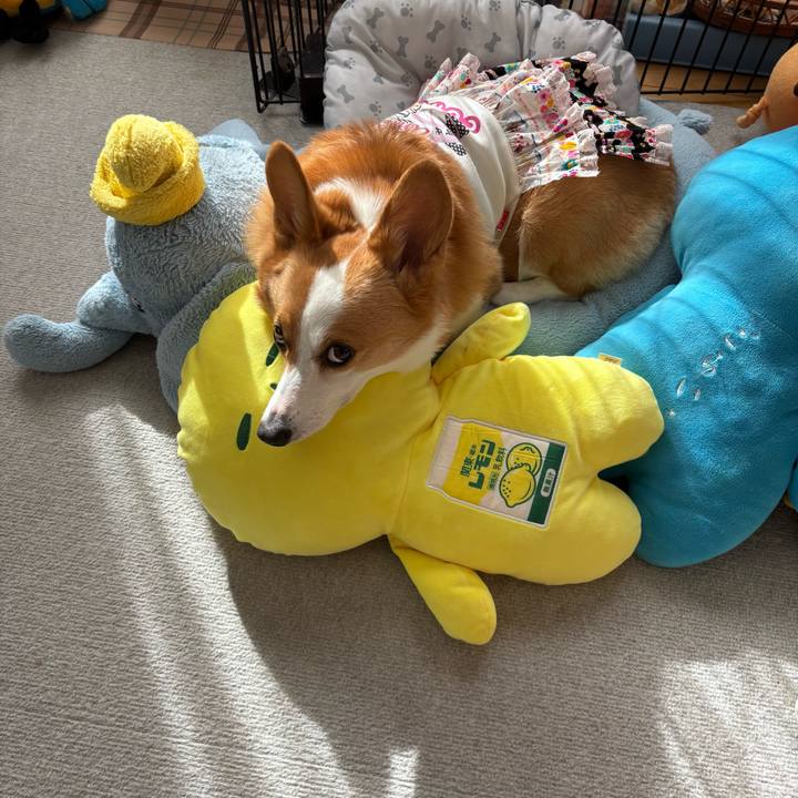 Be3be6b7 6a3a 4412 9a92 d6f28aa9616f 1759902847125