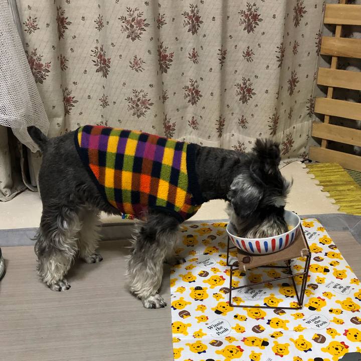 Be3c00e6 811c 452b 8bb1 e5c86904997d 1616146521440