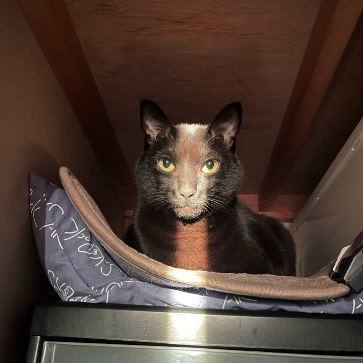 Be3c468d 5741 4f3a 837a d33414293869 1769296420719