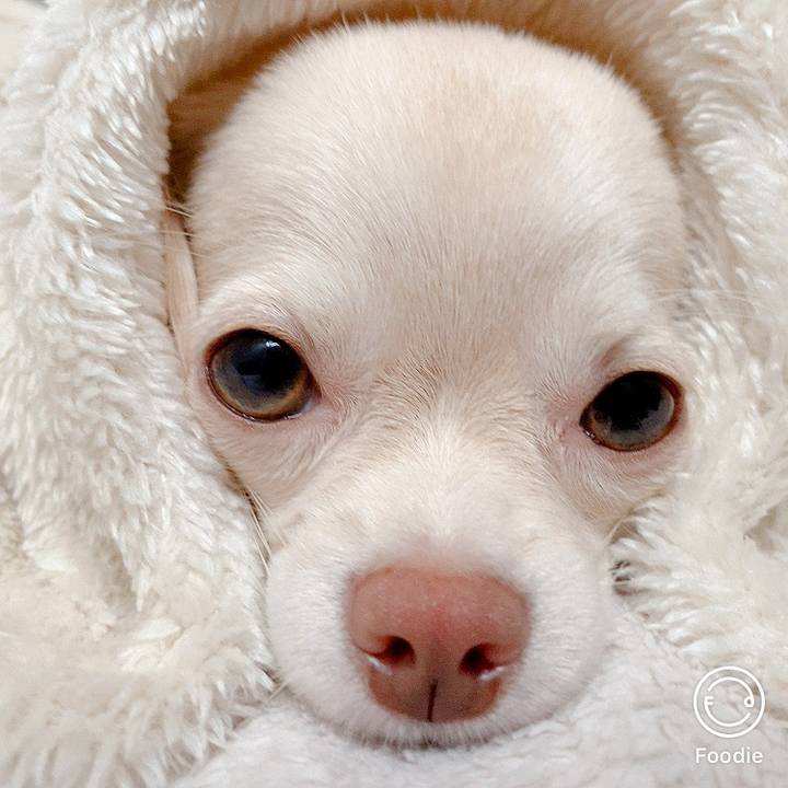 Be3c5833 10f1 45f3 92be 41ae96098489 1601095041313