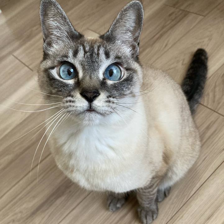 Be3c5e1d 3964 4adb 9c07 dd543e0d0773 1773455825290