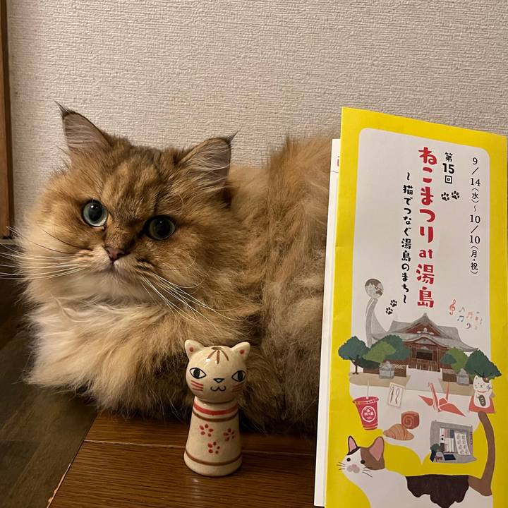 Be3cc143 2d01 48d2 a6b9 7c11d8b00092 1664709698315