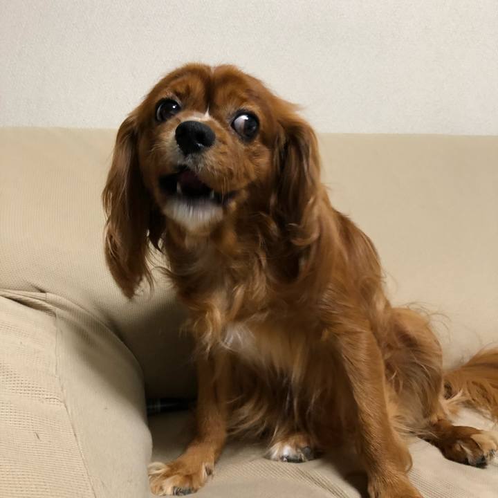 Be3cd337 619f 4a77 9ac5 b1637e3e2fa8 1598269521204