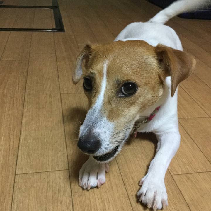 Be3cf203 8f00 490d af17 771d19d0872c 1538733474570