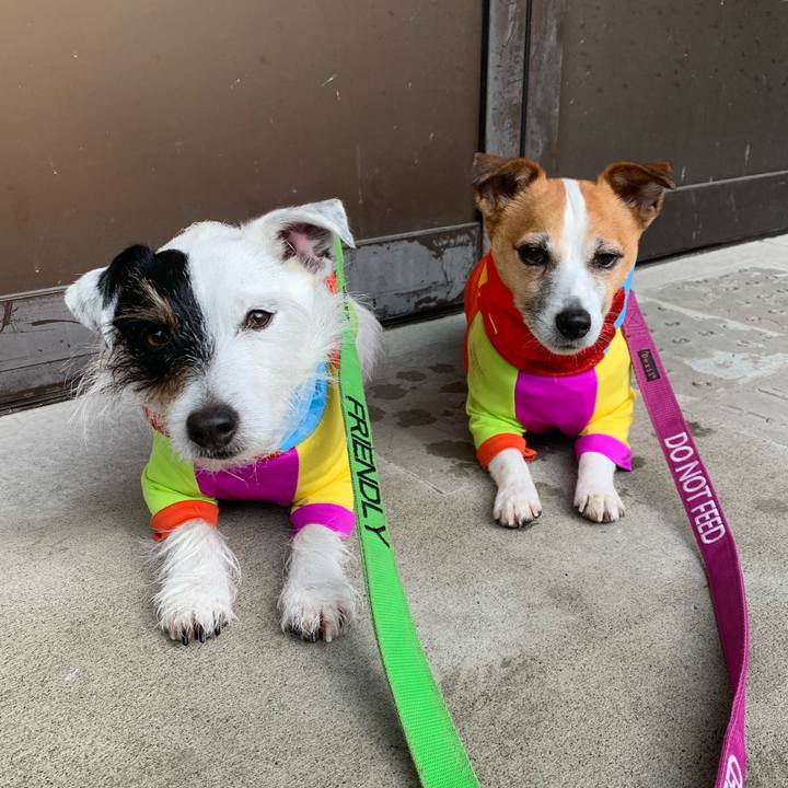 Be3d0338 8dbc 4d1b 9fdb da247ff80e5a 1612230531393