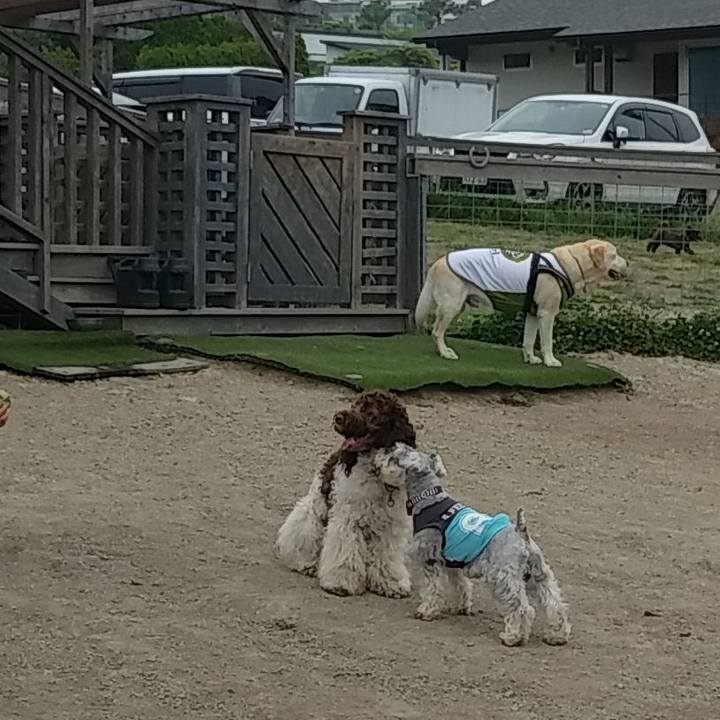 Be3d397d 6b34 4e77 9de7 49b6e500ae2e 1559464659536