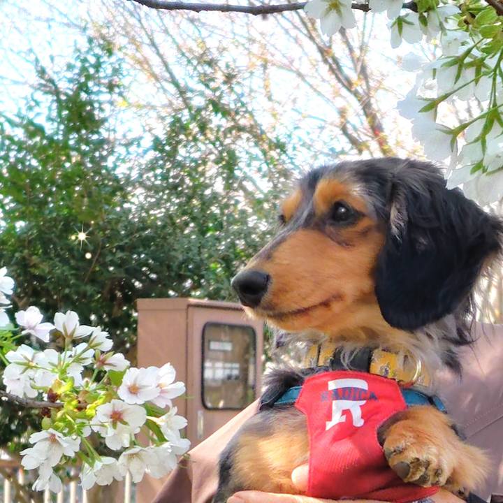 Be3d979f 5058 495d 856b 8cf02c76e9ec 1743314807053