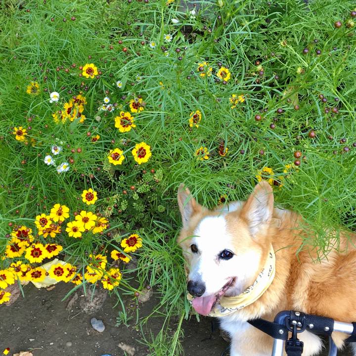 Be3dbf44 80bb 4c22 8f98 20f34e6fb4ed 1656678676416