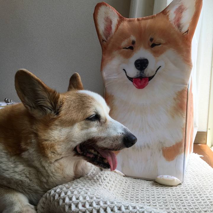 Be3dcdb2 c982 452f 8e6a e131dd9841be 1555645695228