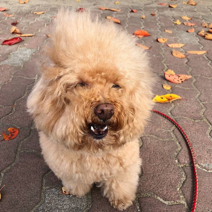 Be3df9c4 1571 4f07 b6f6 eba1fbfc3fca 1575451912621