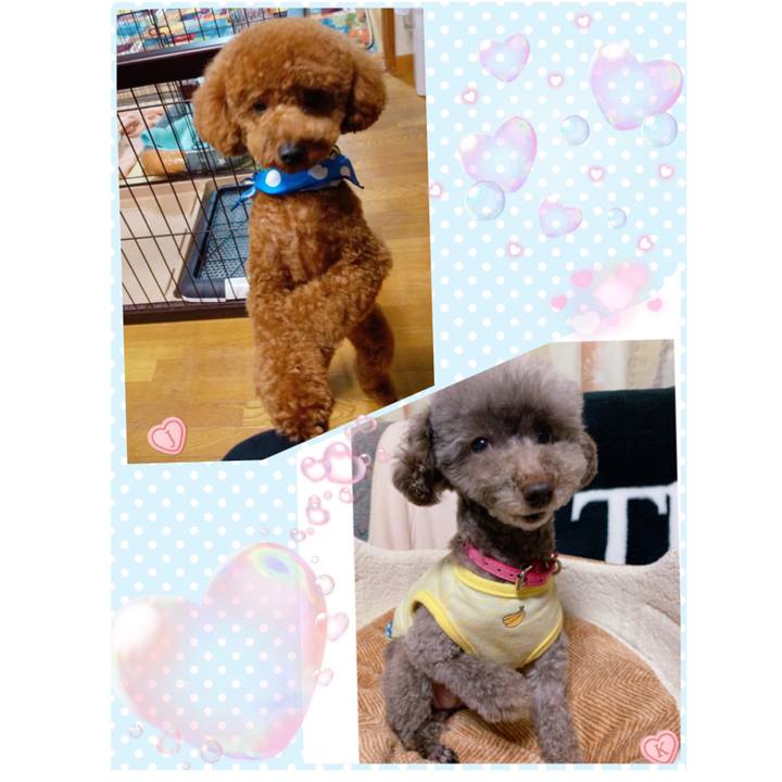 Be3e0e91 389e 4a95 8983 b2ac6966ff66 1619603388003