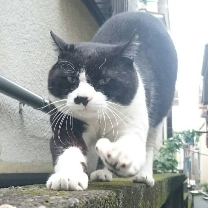 Be3e1e34 3308 41e1 adb3 e40c5455c403 1525736802476