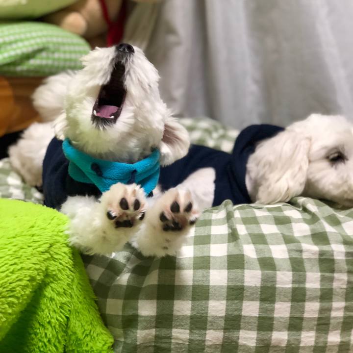 Be3e2db4 818e 44d4 bb02 87f40d4b4446 1523751354625