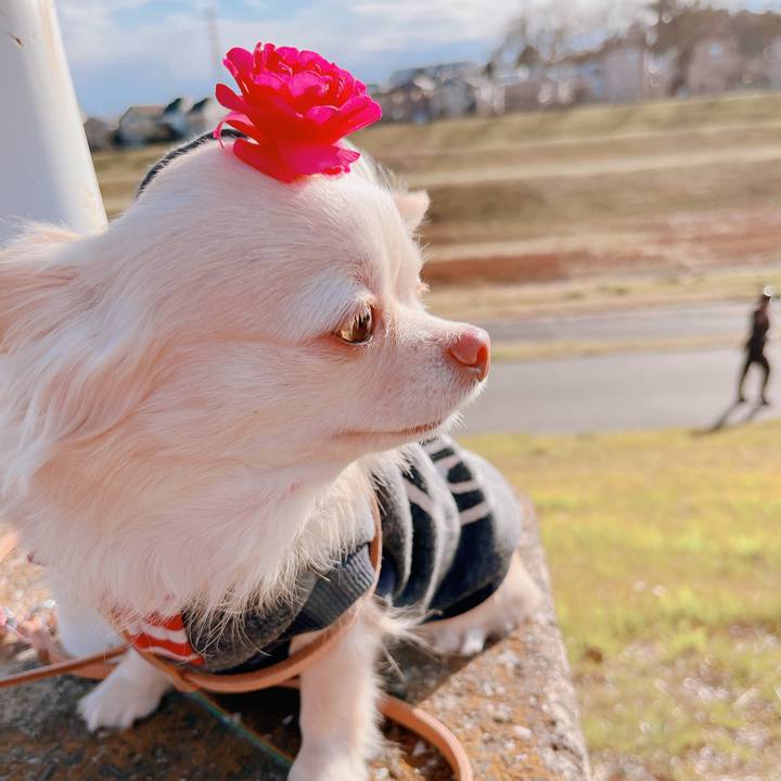 Be3e2ff0 b388 491a 971b f4dbdbb69406 1676362935556