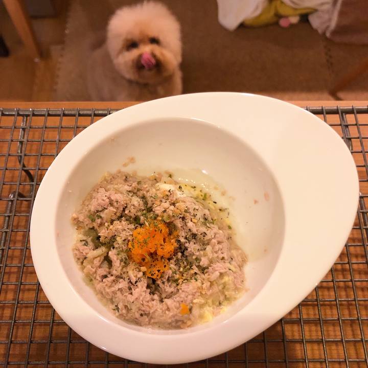 Be3e3272 23be 4851 b1b1 22838b44fa0d 1555837377958