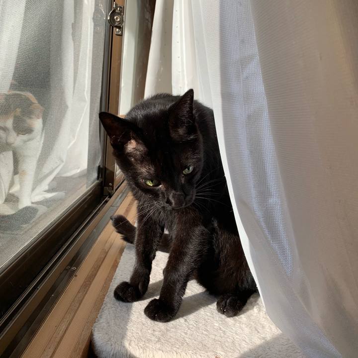 Be3e50b3 7b35 45c4 be55 503792f29639 1539737630648