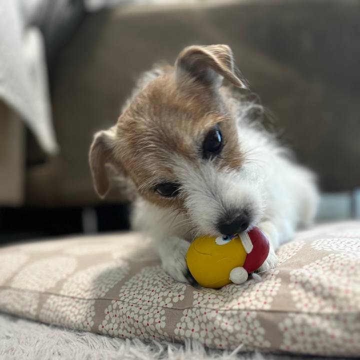 Be3e5ee1 a8ca 4bff 8056 71c56e9894f1 1731139011155