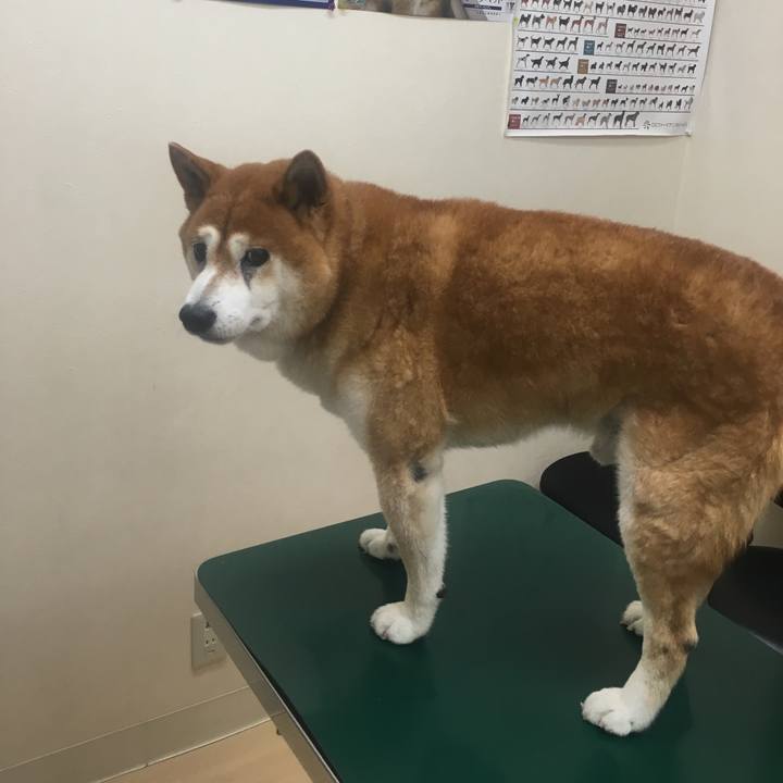 Be3e7634 713c 4dd2 bc87 632fe12be48a 1535112848781