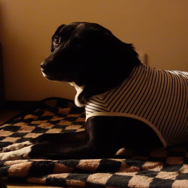 Be3e8681 9474 4a09 bf47 90b8f06c1ee9 1636110691590