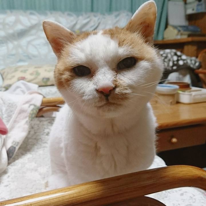 Be3ebefe ffa2 4e2b 9778 5c1d17ba4fe5 1577537605180