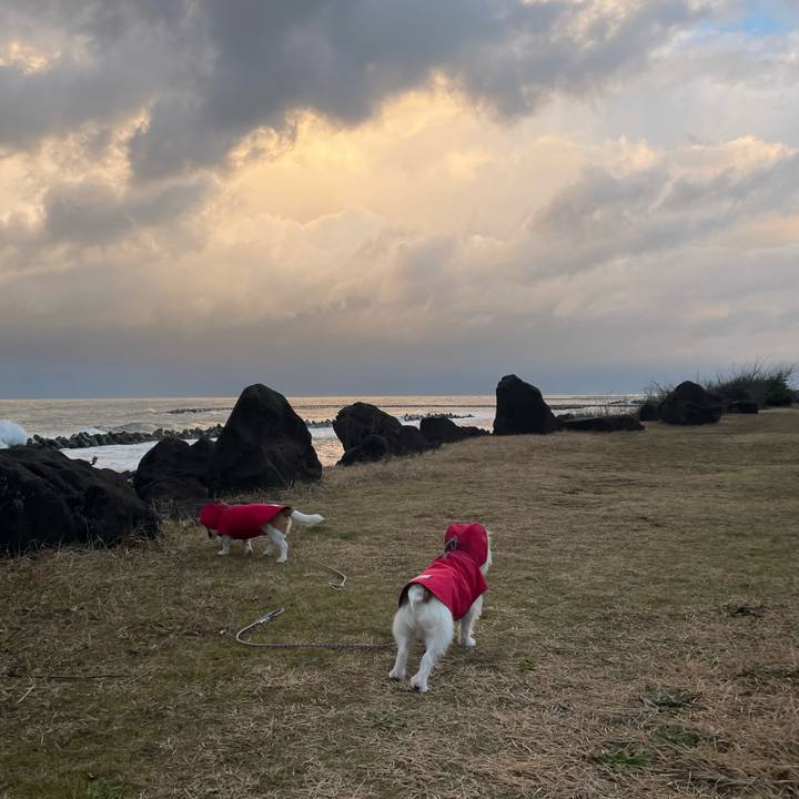 Be3ecdcf fb8b 42ea aced 56e3d4ef6642 1705014198036