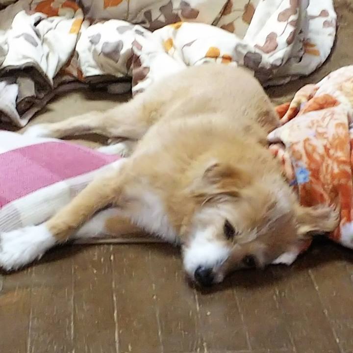 Be3ed357 cd29 420a 8672 bc3ccbf238cf 1549100528787