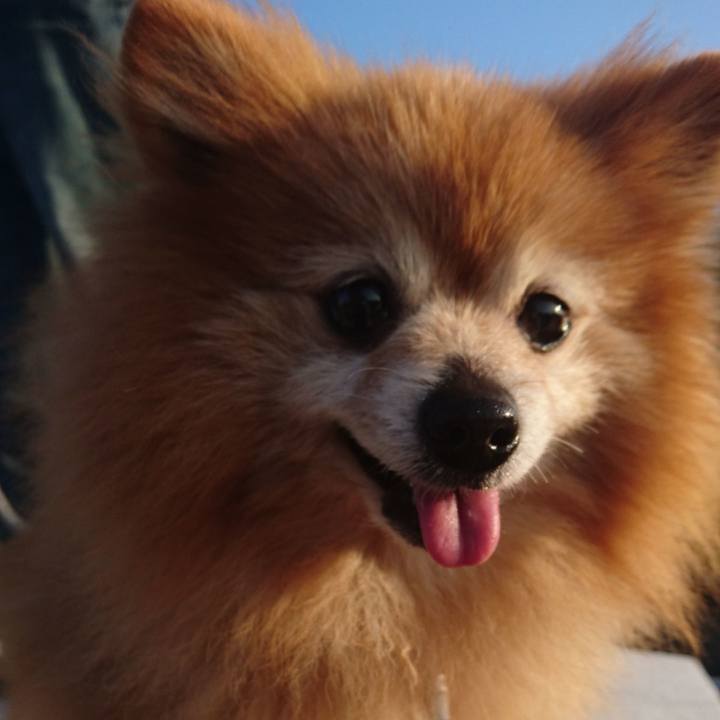 Be3ef41c 3023 4214 a590 ed8849dbd513 1524996359994