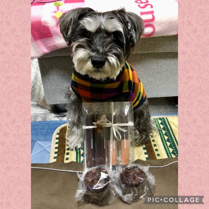 Be3ef82f a531 4a6c 89c6 9ce2bc70d483 1708084070761