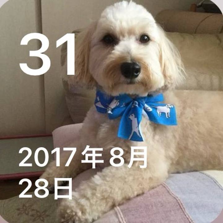 Be3ef987 3a6e 4b07 aa4a dec59030a37c 1725075999324