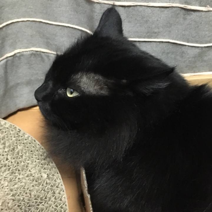 Be3f0a51 5563 4784 9e97 b9343cce57c5 1551880475680