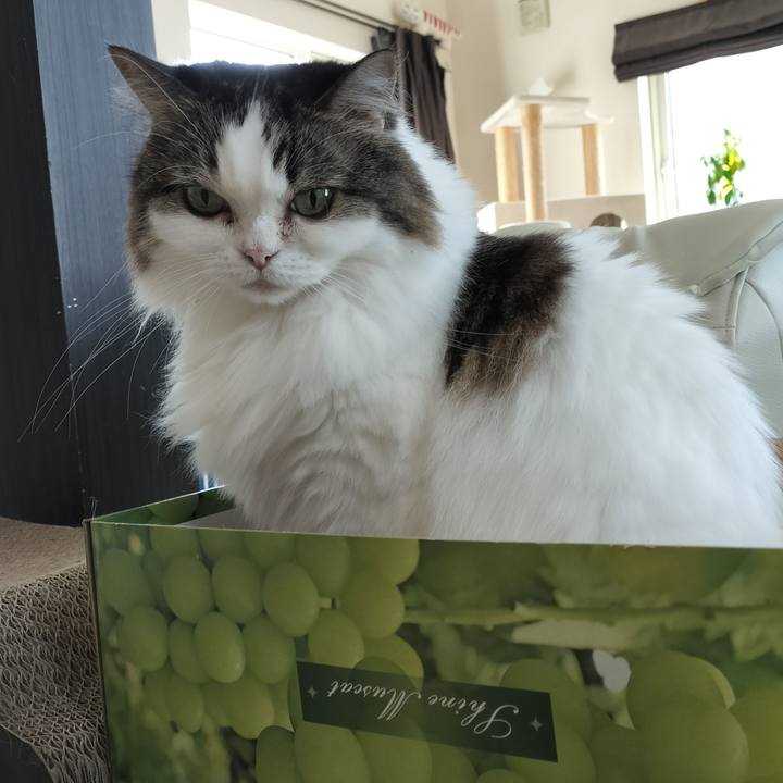 Be3f1347 69f9 4ab4 bdbe 03f8ef4f51ae 1760832938786