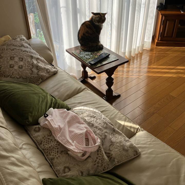 Be3f182a 0fde 4c65 a916 fa9dbe11b883 1764642191311