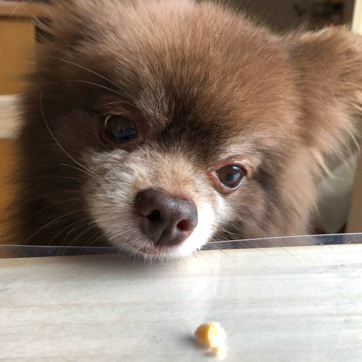 Be3f49c5 4c1f 4438 b289 822fb51ef58d 1563247128267