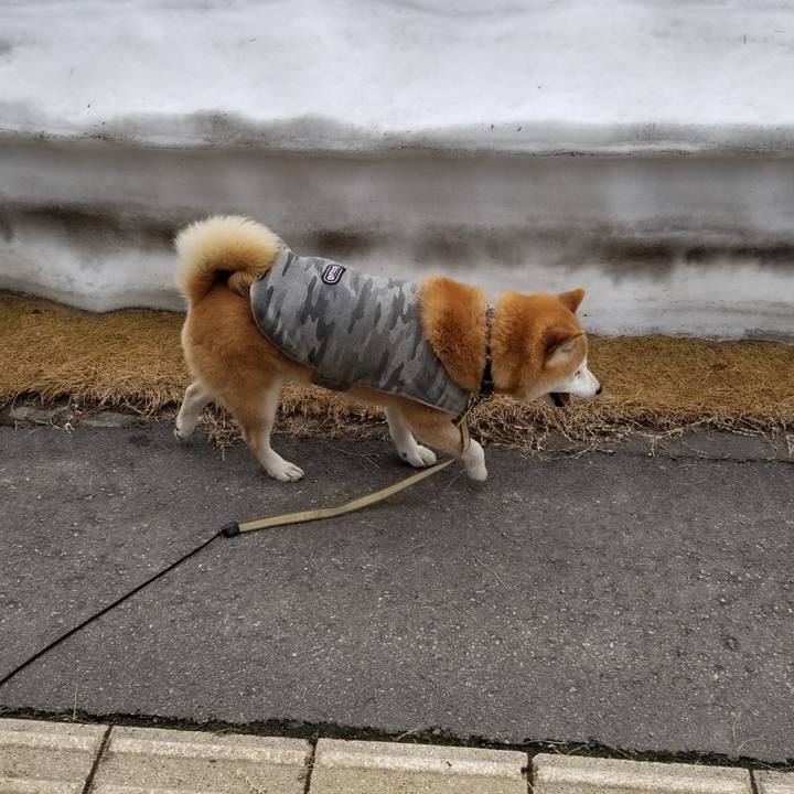 Be3f6c9c c839 47eb 8693 9193423e426a 1647679658704