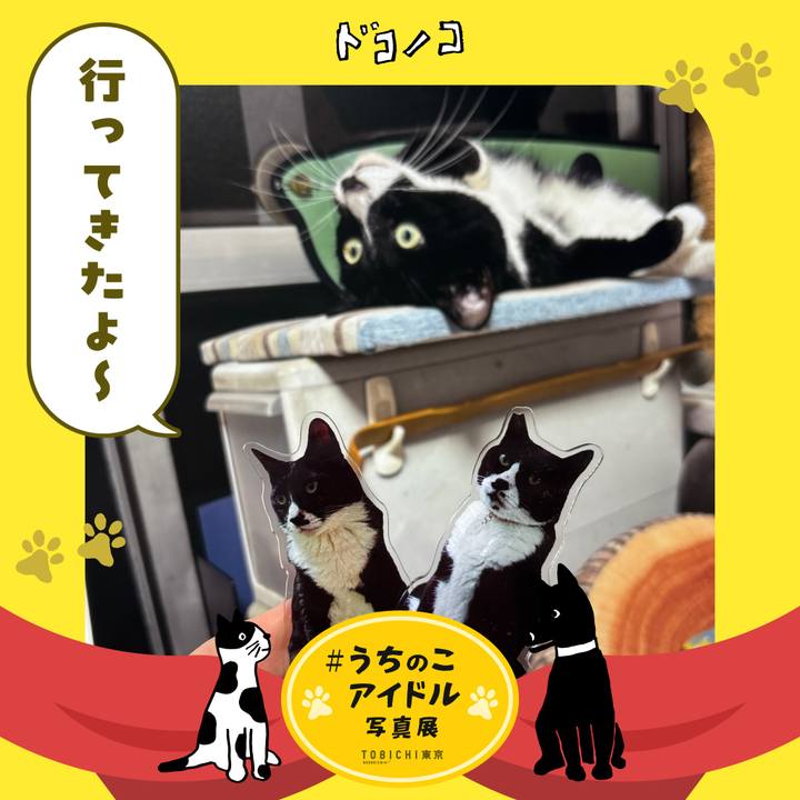 Be3f751a dadc 402f 98ee 5ac9c53b29e7 1761639227716