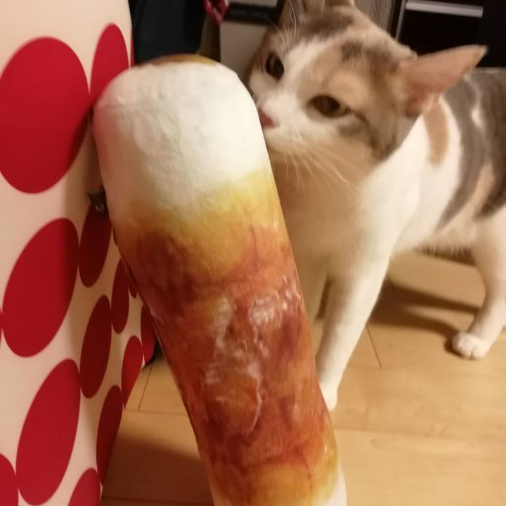 Be3f79c4 733b 4422 9881 7e9d36a8f35f 1577180827641