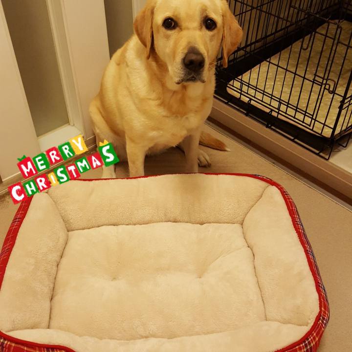 Be3f8d29 e272 489b 8ccb 608ebf3d038f 1514197541980